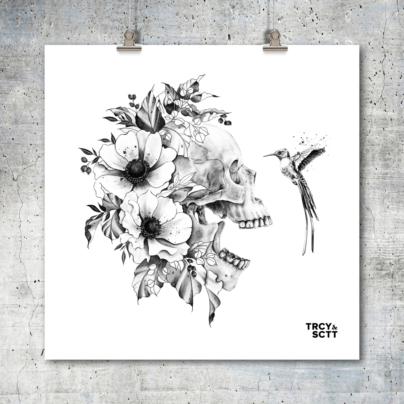 Bird’s Eye Fine Art Print